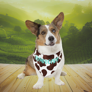 Customizable Dog Days of Summer Pet Bandana Collar