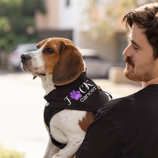 Black bandana with words FCK Cancer with purple pawprint for the U being modeled by a Beagle