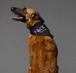 Black bandana with words FCK Cancer with purple pawprint for the U being modeled by a large brown dog