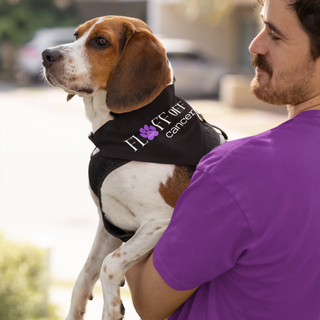 Black bandana with words Fluff Off Cancer with purple pawprint for the U being modeled by a Beagle