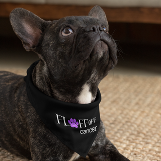 Black bandana with words Fluff Off Cancer with purple pawprint for the U being modeled by a Frenchie