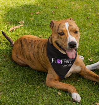 Black bandana with words Fluff Off Cancer with purple pawprint for the U being modeled by a large brown dog