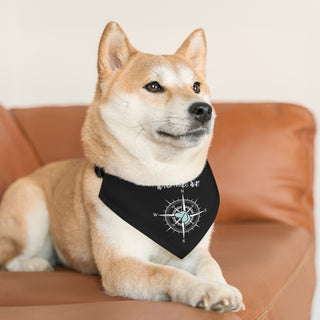 Dog wearing Adventures Await Dog Collar Bandana in Black. The Adventures Await design features a nautical compass with the profile of a dog in the center. Comes with adjustable black collar.