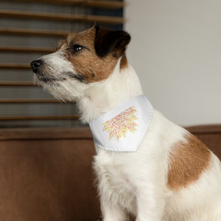 Dog wearing the You are my Sunshine Pet Bandana Collar in White. The You are my Sunshine design features half of a sunflower made out of little paw prints. Comes with adjustable black collar.