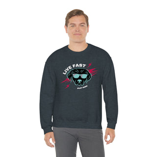 Play Hard Unisex Heavy Blend Crewneck Sweatshirt in Dark Heather. The design features a cool dog with sunglasses and lightening bolts around it. The phrase "Live Fast, Play Hard" is around the design.