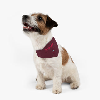 Dog wearing the Play Hard Dog Collar Bandana in Maroon. The Play Hard design features the phrase "Play Hard" with a lightening bolt under it. Comes with adjustable black collar.