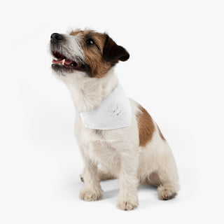 Dog wearing the Live in the Moment Dog Collar Bandana in White. The Live in the Moment design features the the phrase "Live in the Moment" surrounded by a circle of shooting stars. Comes with adjustable black collar.