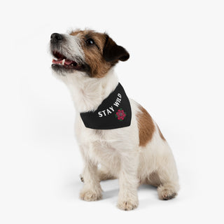 Dog wearing the Stay Wild Dog Collar Bandana in Black. The Stay Wild design features the phrase "Stay Wild" with a tattoo style rose under it. Comes with adjustable black collar.