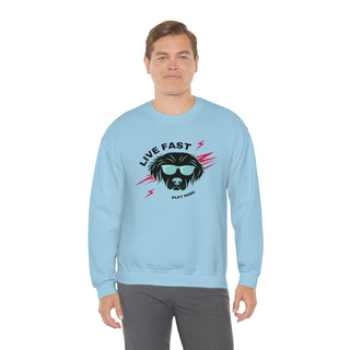 Play Hard Unisex Heavy Blend Crewneck Sweatshirt in Light Blue. The design features a cool dog with sunglasses and lightening bolts around it. The phrase "Live Fast, Play Hard" is around the design.