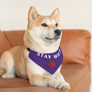 Dog wearing the Stay Wild Dog Collar Bandana in Purple. The Stay Wild design features the phrase "Stay Wild" with a tattoo style rose under it. Comes with adjustable black collar.