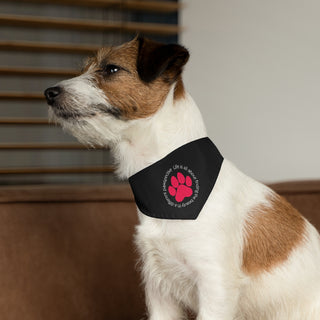 Dog wearing the Different Pawspective Dog Collar Bandana in Black. The Different Pawspective design features the phrase "Life is all about finding the beauty in a different pawspective" around a paw print. Comes with adjustable black collar.