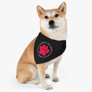 Dog wearing the Different Pawspective Dog Collar Bandana in Black. The Different Pawspective design features the phrase "Life is all about finding the beauty in a different pawspective" around a paw print. Comes with adjustable black collar.