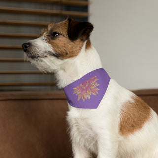 Dog wearing the You are my Sunshine Pet Bandana Collar in Purple. The You are my Sunshine design features half of a sunflower made out of little paw prints. Comes with adjustable black collar.