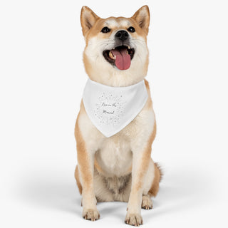 Dog wearing the Live in the Moment Dog Collar Bandana in White. The Live in the Moment design features the the phrase "Live in the Moment" surrounded by a circle of shooting stars. Comes with adjustable black collar.