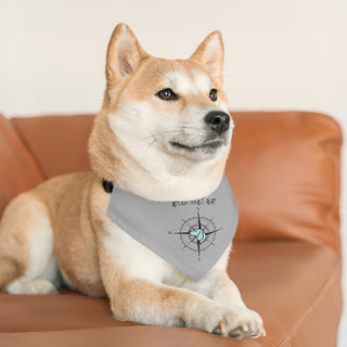 Dog wearing Adventures Await Dog Collar Bandana in Grey. The Adventures Await design features a nautical compass with the profile of a dog in the center. Comes with adjustable black collar. 