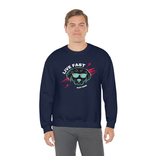 Play Hard Unisex Heavy Blend Crewneck Sweatshirt in Navy. The design features a cool dog with sunglasses and lightening bolts around it. The phrase "Live Fast, Play Hard" is around the design.