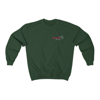 Different Pawspective Unisex Crewneck Sweatshirt in Forest Green. Shown is front of shirt with Benefit Beagle logo in the top corner . On the back is large colorful pawprint with the the phrase "Life is all about finding the beauty in a different pawspective" circled around it.