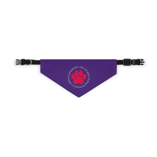 Different Pawspective Dog Collar Bandana in Purple. The Different Pawspective design features the phrase "Life is all about finding the beauty in a different pawspective" around a paw print. Comes with adjustable black collar.