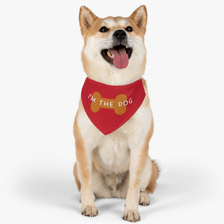 Dog wearing Easily Distracted Dog Collar Bandana in Red. The design features a large dog bone with the words, "I'M THE DOG" written across it. Comes with adjustable black collar.