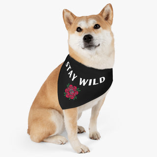 Dog wearing the Stay Wild Dog Collar Bandana in Black. The Stay Wild design features the phrase "Stay Wild" with a tattoo style rose under it. Comes with adjustable black collar.