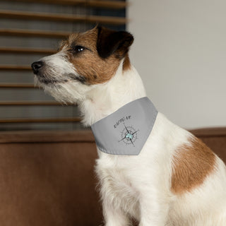 Dog wearing Adventures Await Dog Collar Bandana in Grey. The Adventures Await design features a nautical compass with the profile of a dog in the center. Comes with adjustable black collar. 