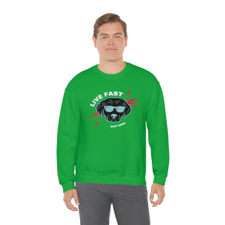 Play Hard Unisex Heavy Blend Crewneck Sweatshirt in Irish Green. The design features a cool dog with sunglasses and lightening bolts around it. The phrase "Live Fast, Play Hard" is around the design.