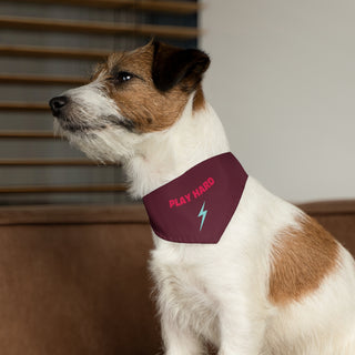 Dog wearing the Play Hard Dog Collar Bandana in Maroon. The Play Hard design features the phrase "Play Hard" with a lightening bolt under it. Comes with adjustable black collar.