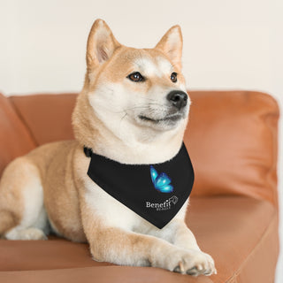 Dog wearing the Lincoln Butterfly Dog Collar Bandana in Black. The Lincoln Butterfly design features the Benefit Beagle logo with a blue butterfly above it. Comes with adjustable black collar.