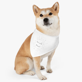 Dog wearing the Live in the Moment Dog Collar Bandana in White. The Live in the Moment design features the the phrase "Live in the Moment" surrounded by a circle of shooting stars. Comes with adjustable black collar.