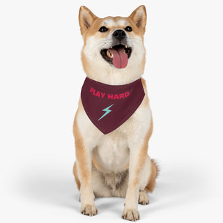 Dog wearing the Play Hard Dog Collar Bandana in Maroon. The Play Hard design features the phrase "Play Hard" with a lightening bolt under it. Comes with adjustable black collar.