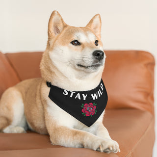 Dog wearing the Stay Wild Dog Collar Bandana in Black. The Stay Wild design features the phrase "Stay Wild" with a tattoo style rose under it. Comes with adjustable black collar.