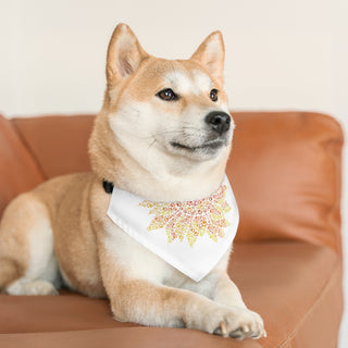 Dog wearing the You are my Sunshine Pet Bandana Collar in White. The You are my Sunshine design features half of a sunflower made out of little paw prints. Comes with adjustable black collar.