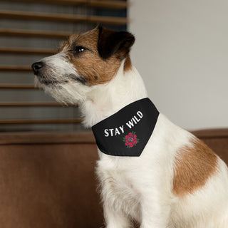 Dog wearing the Stay Wild Dog Collar Bandana in Black. The Stay Wild design features the phrase "Stay Wild" with a tattoo style rose under it. Comes with adjustable black collar.