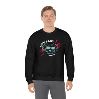 Play Hard Unisex Heavy Blend Crewneck Sweatshirt in Black. The design features a cool dog with sunglasses and lightening bolts around it. The phrase "Live Fast, Play Hard" is around the design.