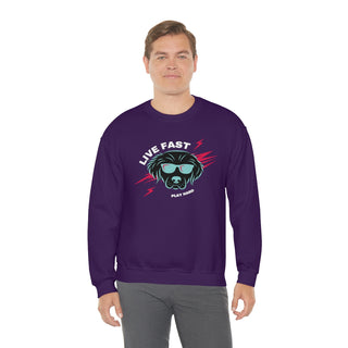 Play Hard Unisex Heavy Blend Crewneck Sweatshirt in Purple. The design features a cool dog with sunglasses and lightening bolts around it. The phrase "Live Fast, Play Hard" is around the design.