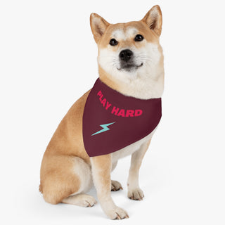 Dog wearing the Play Hard Dog Collar Bandana in Maroon. The Play Hard design features the phrase "Play Hard" with a lightening bolt under it. Comes with adjustable black collar.