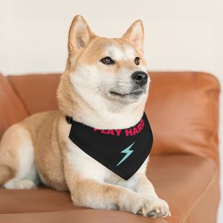 Dog wearing the Play Hard Dog Collar Bandana in Black. The Play Hard design features the phrase "Play Hard" with a lightening bolt under it. Comes with adjustable black collar.