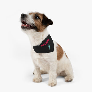 Dog wearing the Play Hard Dog Collar Bandana in Black. The Play Hard design features the phrase "Play Hard" with a lightening bolt under it. Comes with adjustable black collar.