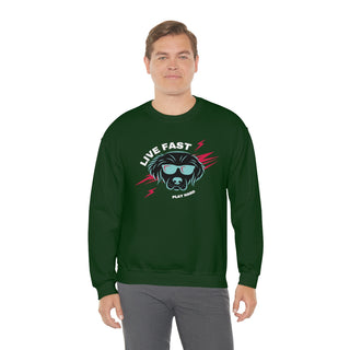 Play Hard Unisex Heavy Blend Crewneck Sweatshirt in Forest Green. The design features a cool dog with sunglasses and lightening bolts around it. The phrase "Live Fast, Play Hard" is around the design.