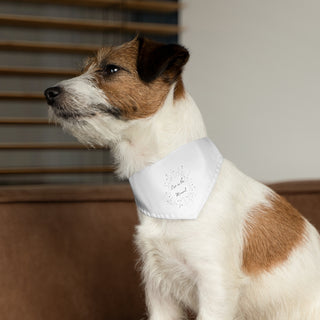 Dog wearing the Live in the Moment Dog Collar Bandana in White. The Live in the Moment design features the the phrase "Live in the Moment" surrounded by a circle of shooting stars. Comes with adjustable black collar.