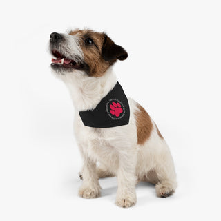 Dog wearing the Different Pawspective Dog Collar Bandana in Black. The Different Pawspective design features the phrase "Life is all about finding the beauty in a different pawspective" around a paw print. Comes with adjustable black collar.