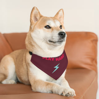 Dog wearing the Play Hard Dog Collar Bandana in Maroon. The Play Hard design features the phrase "Play Hard" with a lightening bolt under it. Comes with adjustable black collar.